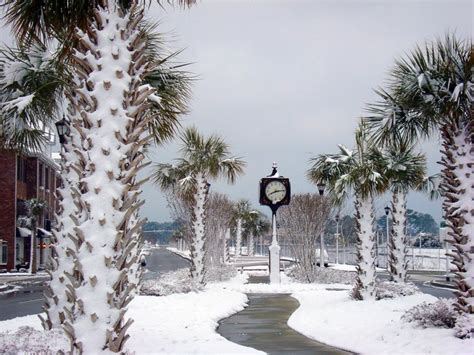 Does It Snow in Myrtle Beach, SC?