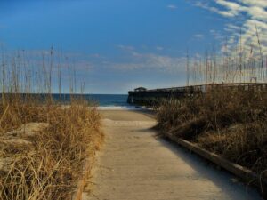 Serene nature walk through Myrtle Beach State Park, a peaceful spot for meditation.